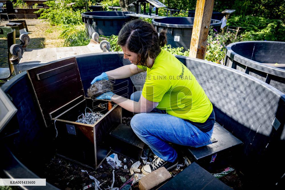 Hedgehog Shelter - Breda