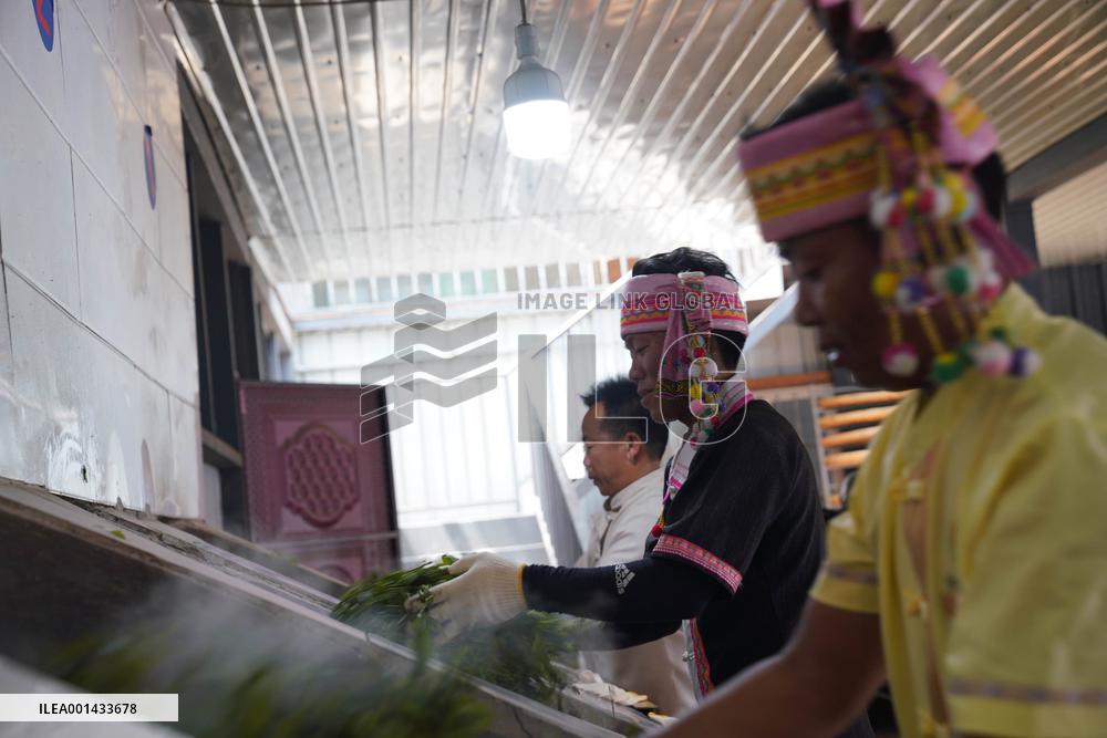 CHINA-YUNNAN-XISHUANGBANNA-TEA INDUSTRY (CN)