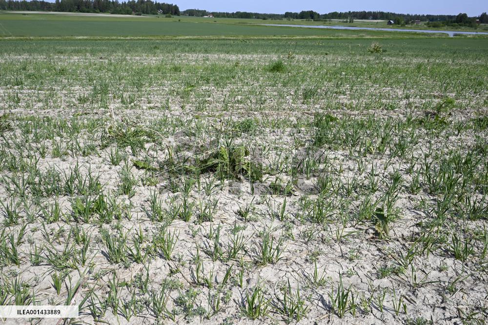 Drought in Finland