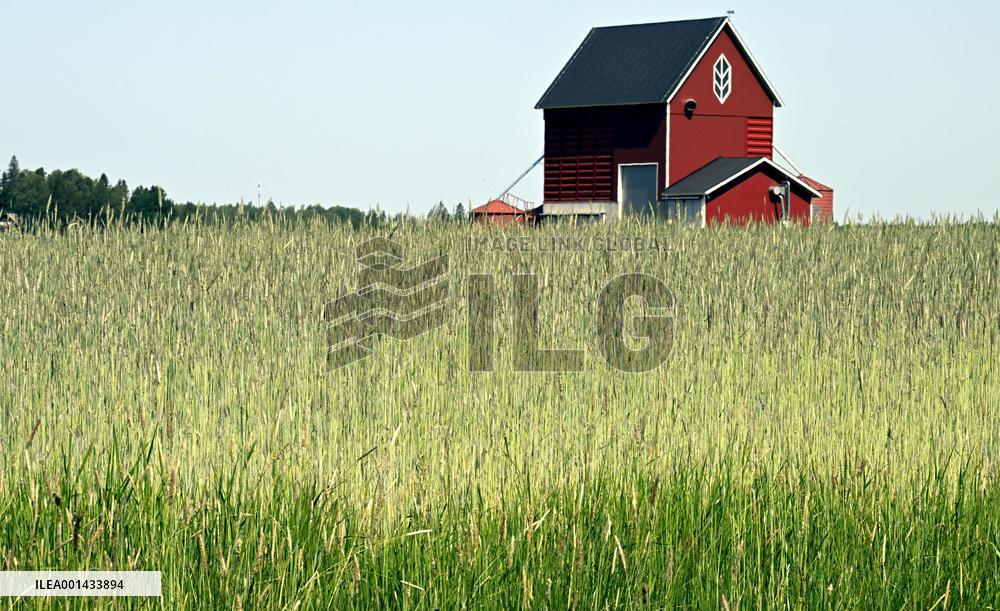 Drought in Finland