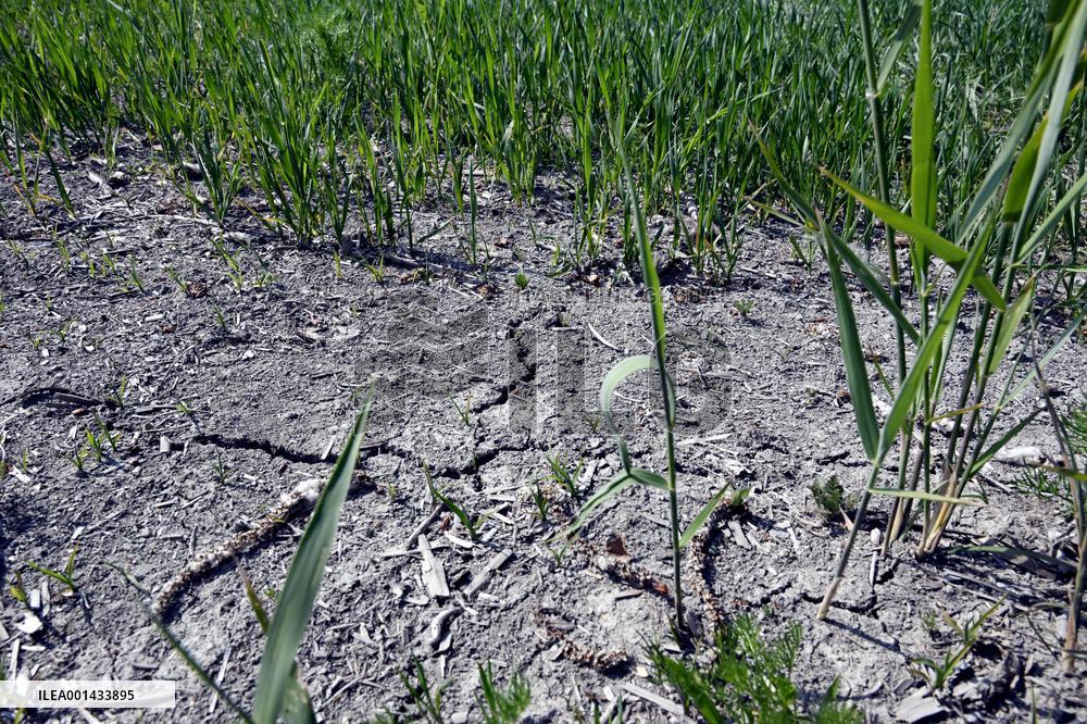Drought in Finland