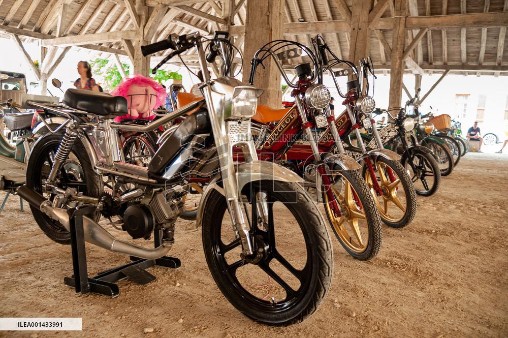 Gathering of Old Mopeds - Piney