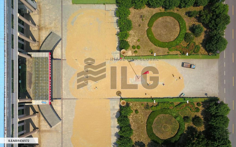 CHINA-SHANDONG-LINYI-GOVERNMENT COMPOUNDS-GRAIN DRYING (CN)