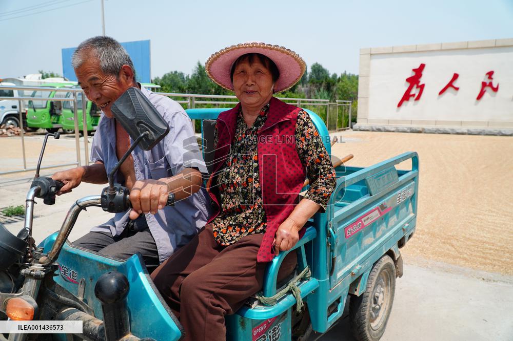 CHINA-SHANDONG-LINYI-GOVERNMENT COMPOUNDS-GRAIN DRYING (CN)