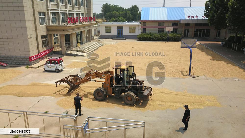CHINA-SHANDONG-LINYI-GOVERNMENT COMPOUNDS-GRAIN DRYING (CN)