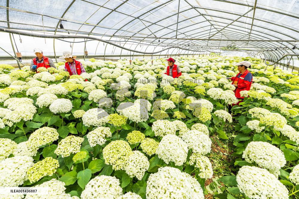 China Flower Industry