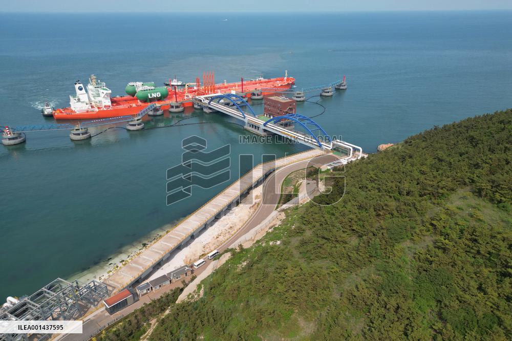 China Crude Oil Import