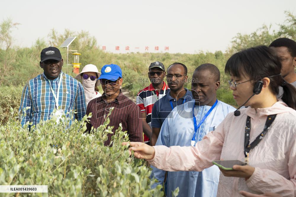 Xinhua Headlines: From Taklimakan to Sahara, China, Africa in concert to combat drought, desertification