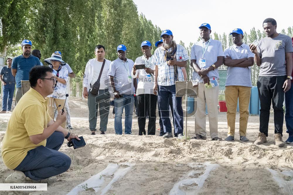 Xinhua Headlines: From Taklimakan to Sahara, China, Africa in concert to combat drought, desertification