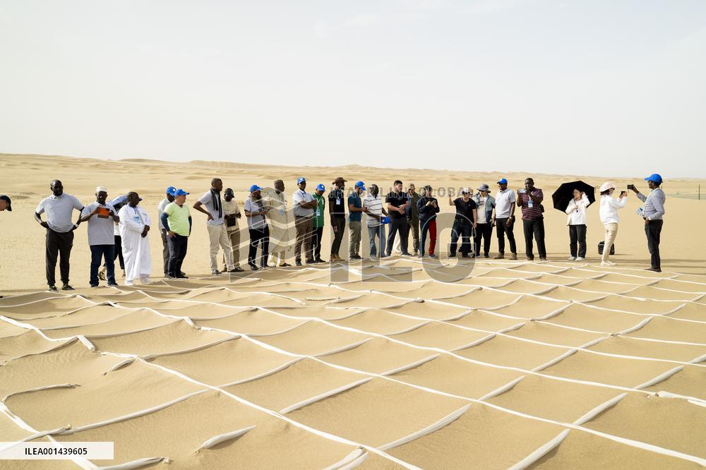 Xinhua Headlines: From Taklimakan to Sahara, China, Africa in concert to combat drought, desertification