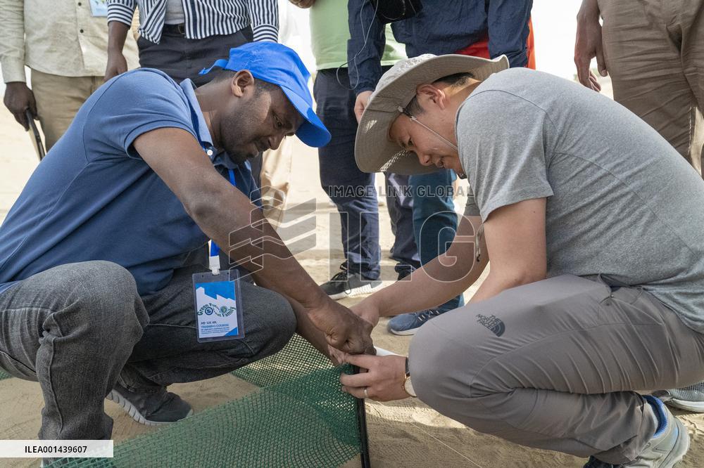 Xinhua Headlines: From Taklimakan to Sahara, China, Africa in concert to combat drought, desertification