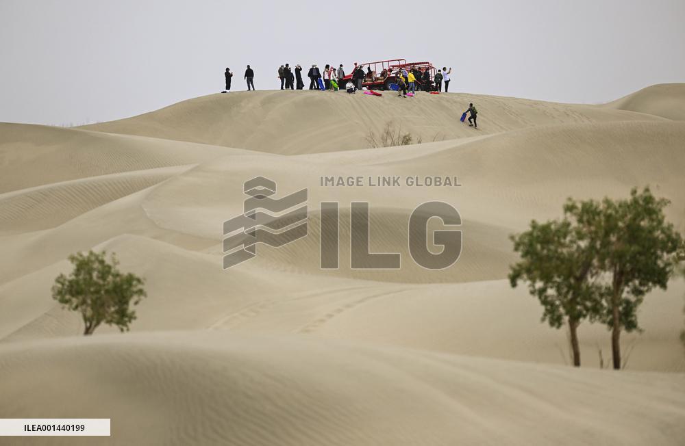 CHINA-XINJIANG-DESERT-GREEN DEVELOPMENT (CN)