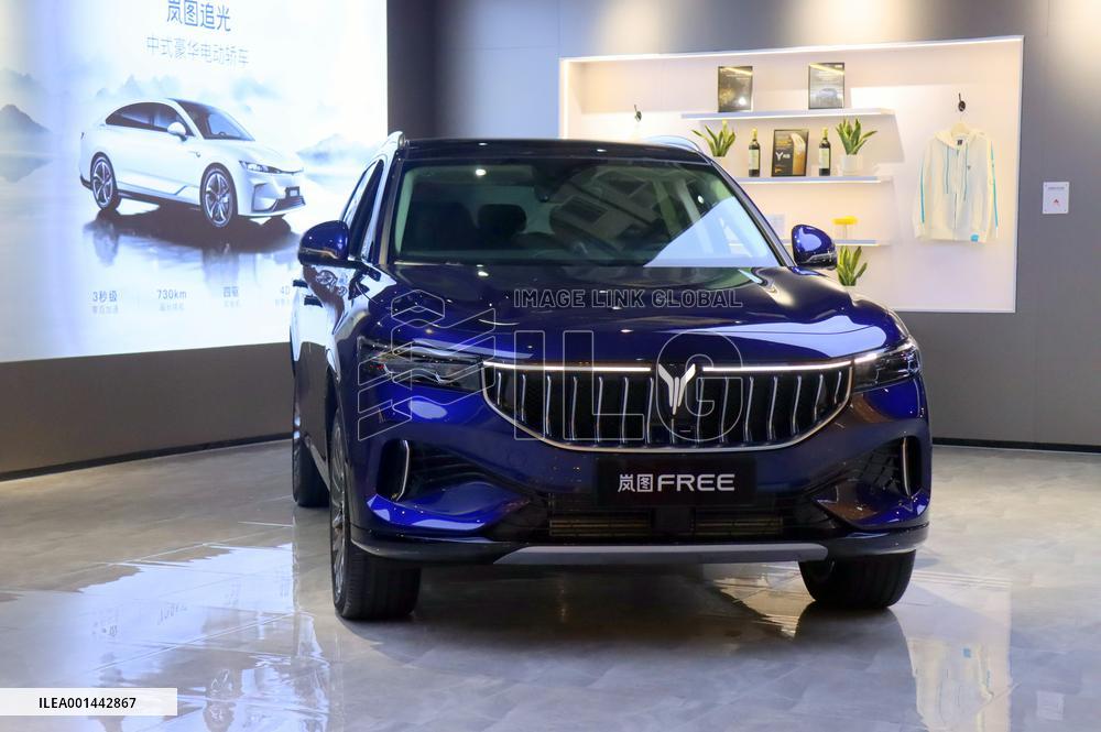 VOYAH New Energy Auto Vehicle