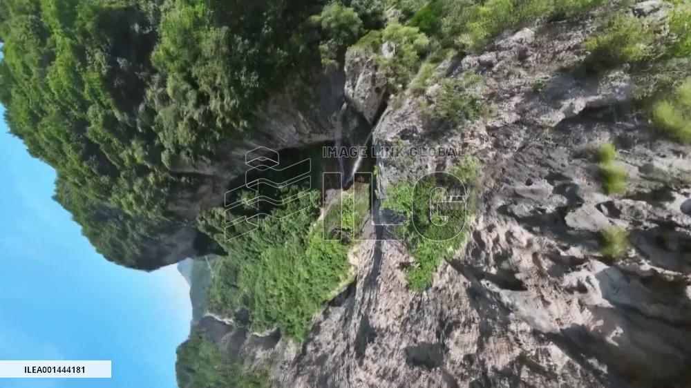 Ancient hornbeam trees found in N China