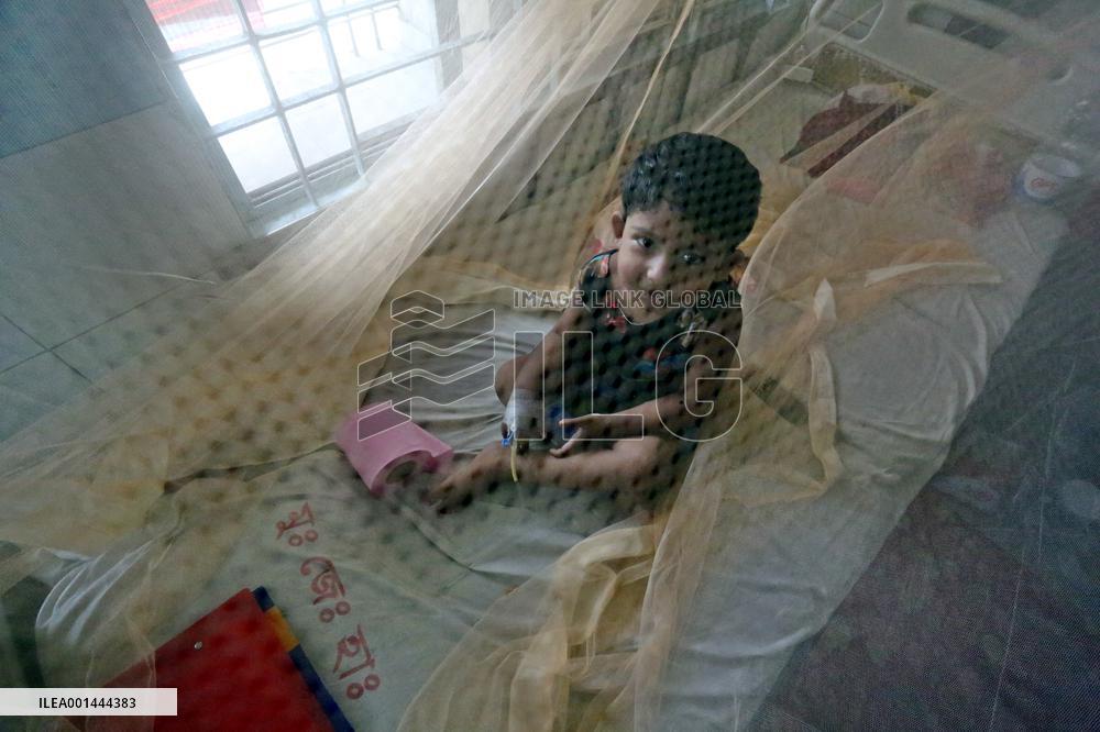 Dengue Fever Has Increased In The Last 24 Hours In Bangladesh