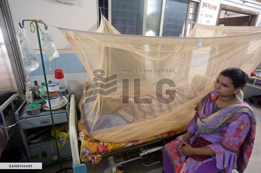 Dengue Fever Has Increased In The Last 24 Hours In Bangladesh
