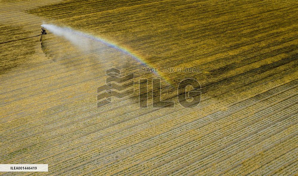 Drought In Netherlands