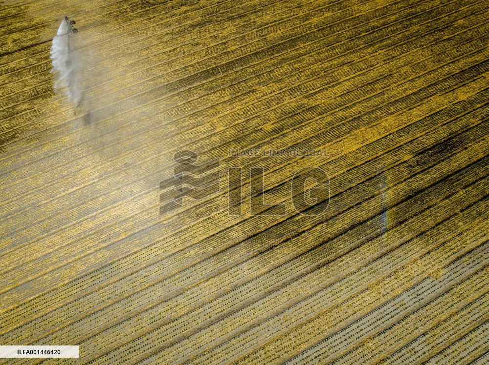 Drought In Netherlands