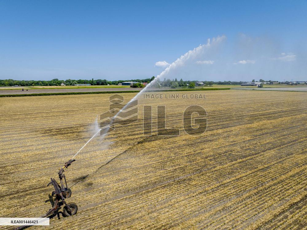 Drought In Netherlands