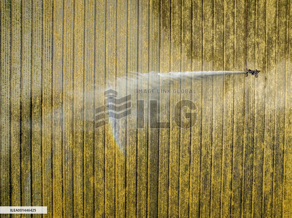 Drought In Netherlands