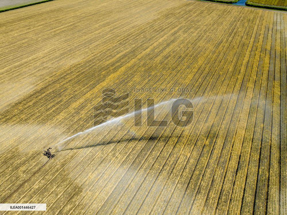 Drought In Netherlands