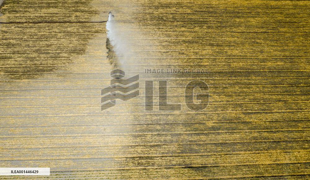 Drought In Netherlands