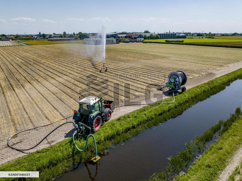 Drought In Netherlands