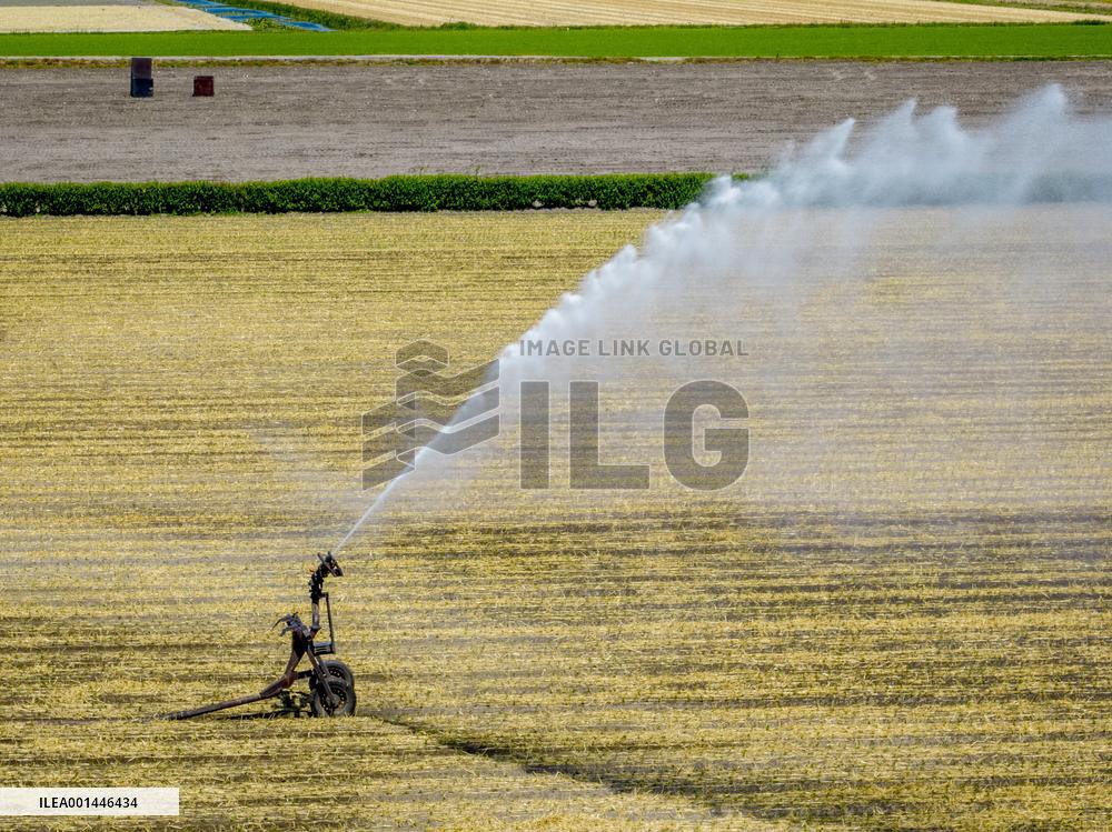 Drought In Netherlands