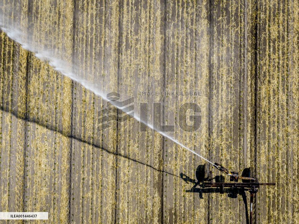 Drought In Netherlands