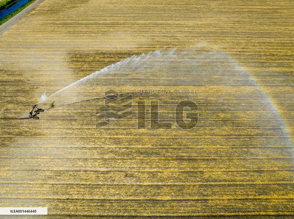 Drought In Netherlands