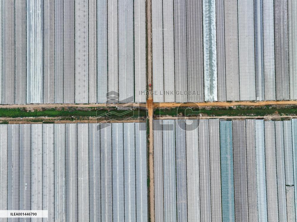 Characteristic Agricultural Products Planting In China