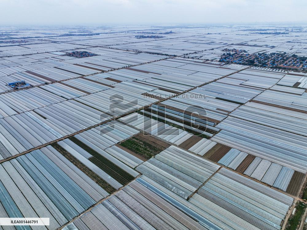 Characteristic Agricultural Products Planting In China