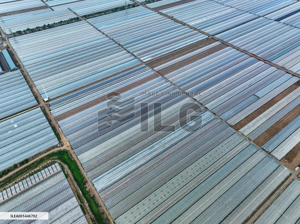 Characteristic Agricultural Products Planting In China