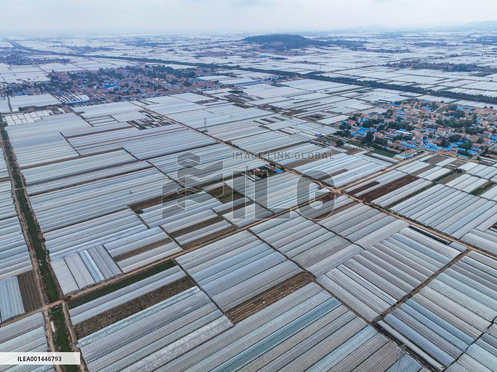 Characteristic Agricultural Products Planting In China