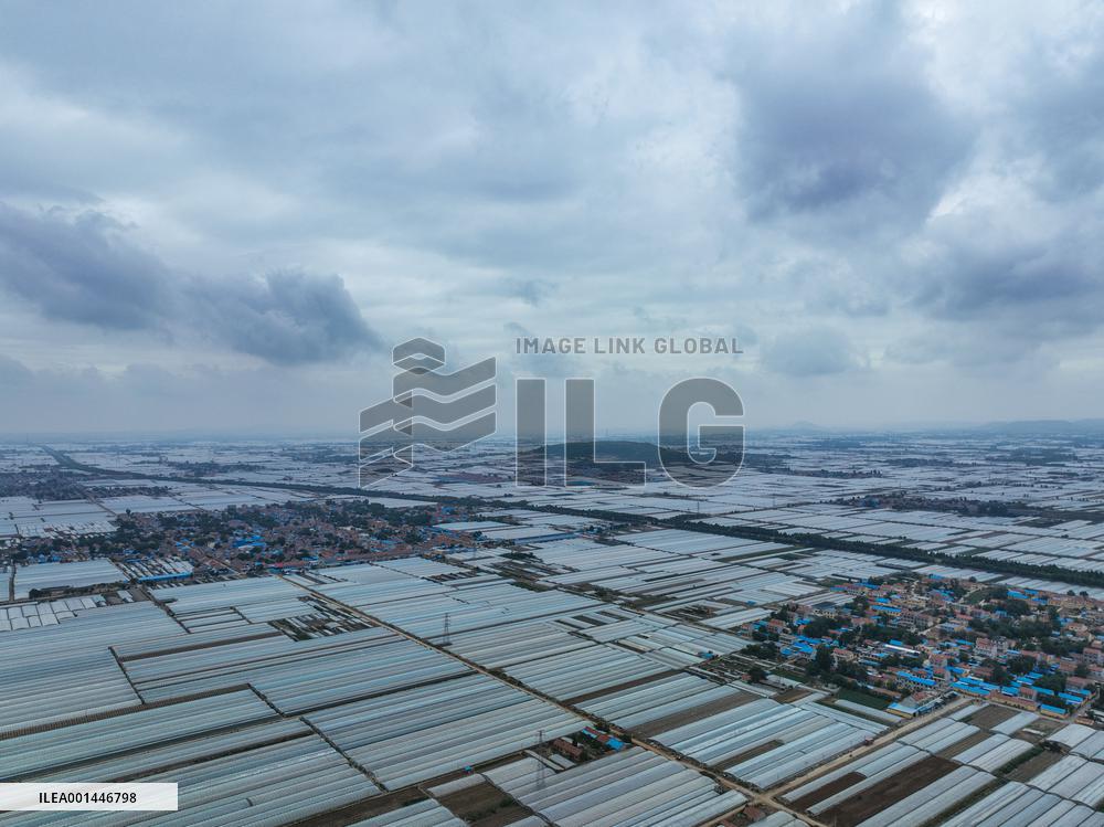 Characteristic Agricultural Products Planting In China