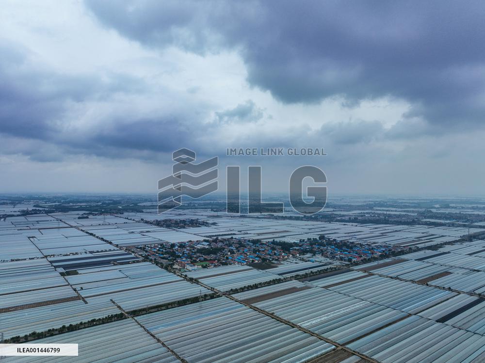 Characteristic Agricultural Products Planting In China