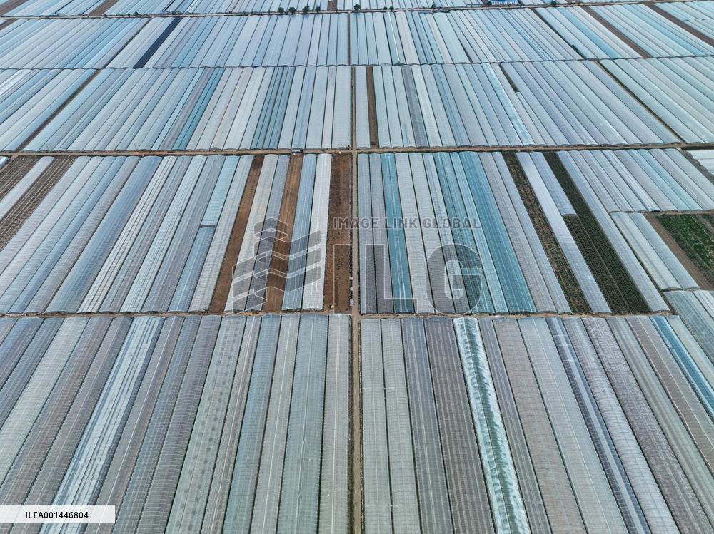 Characteristic Agricultural Products Planting In China