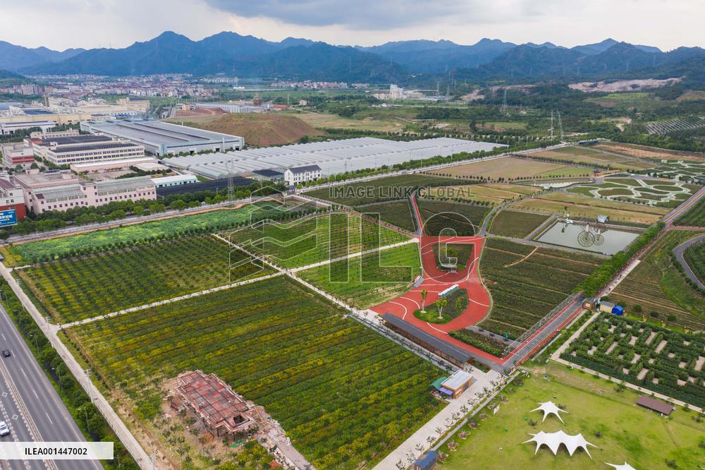 CHINA-ZHEJIANG-DONGYANG-GREEN RURAL REVIVAL PROGRAM (CN)