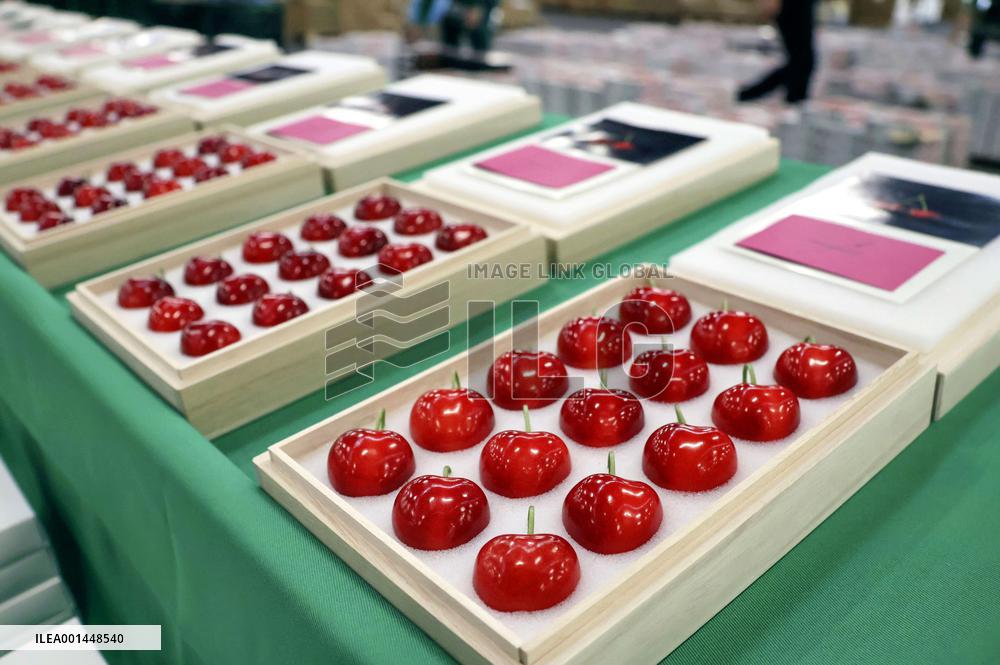 High-grade cherries in northeastern Japan