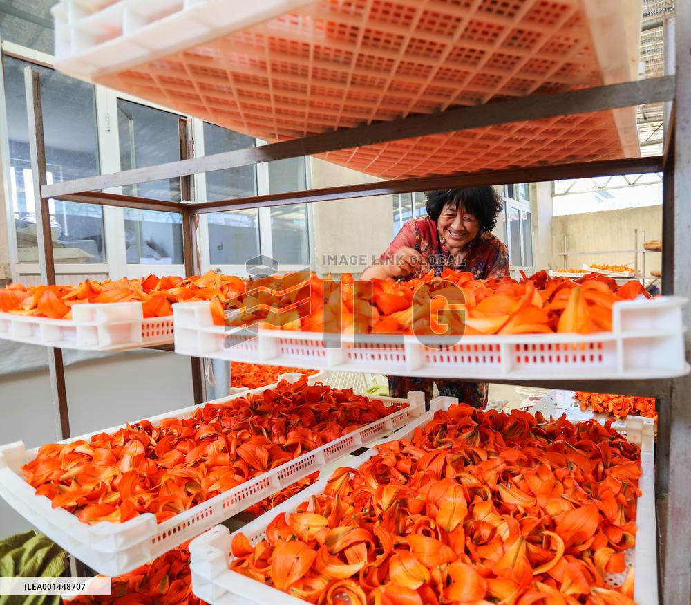 Flower Planting Industry In China