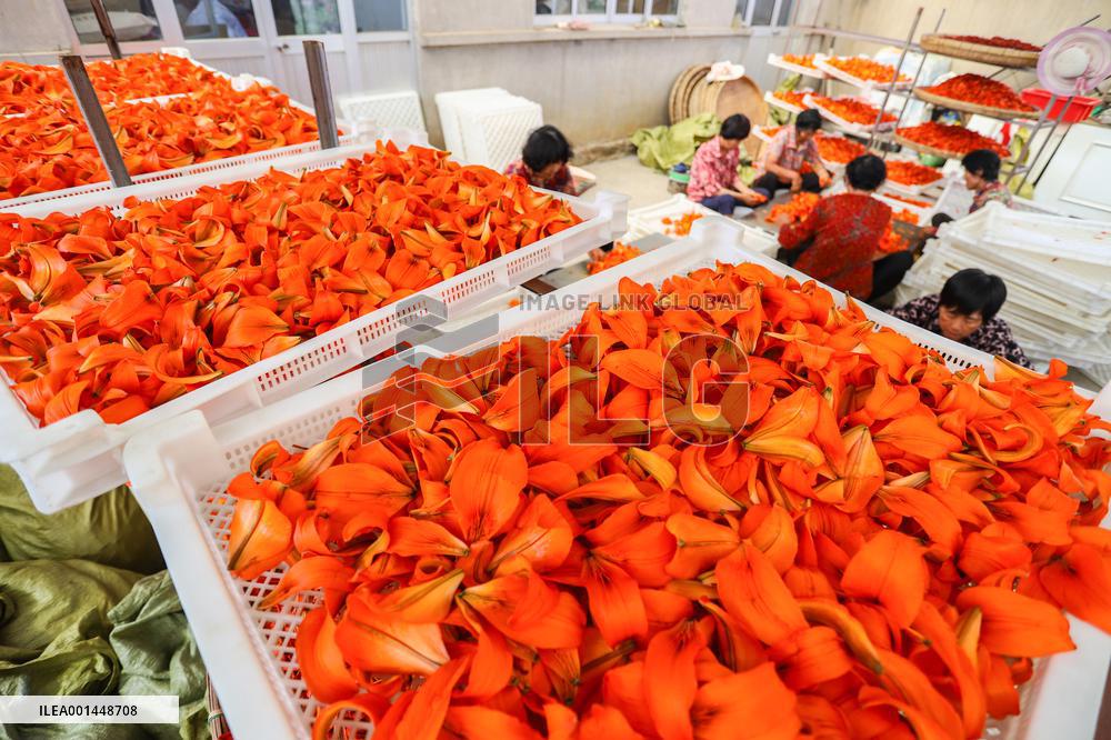 Flower Planting Industry In China