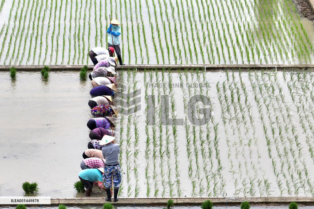 Jiangsu (Wujin) Rice Research Institute in Changzhou