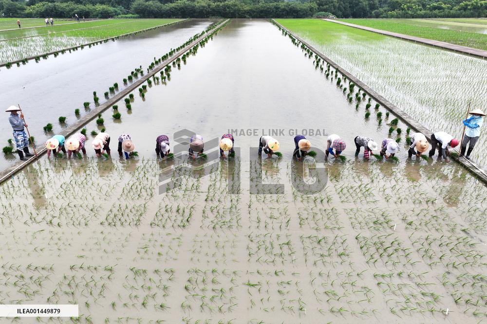 Jiangsu (Wujin) Rice Research Institute in Changzhou