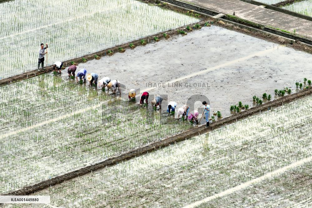 Jiangsu (Wujin) Rice Research Institute in Changzhou