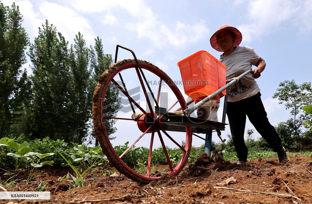 China Agriculture Farmer