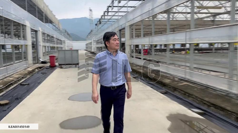 Taiwan compatriot devotes to seedling industry in Chinese mainland