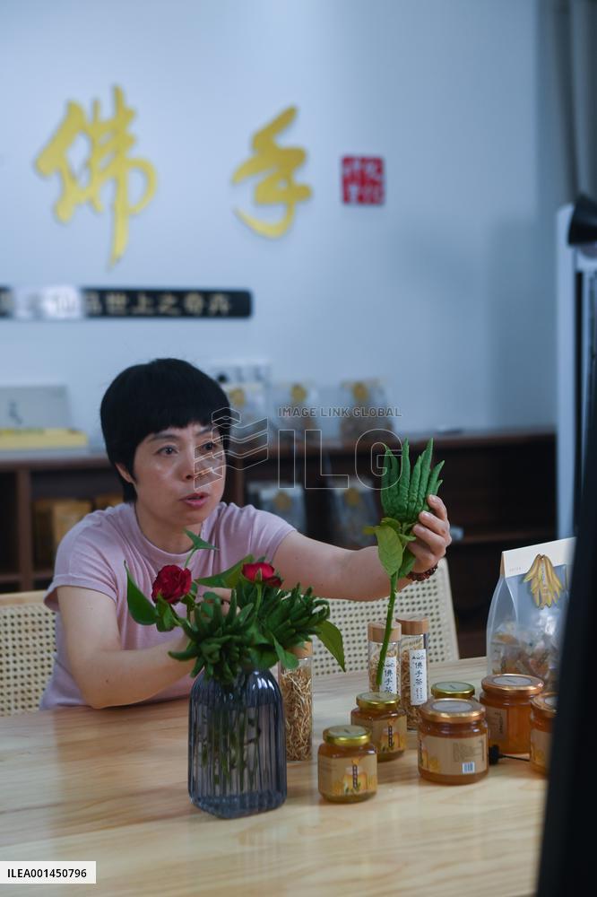 CHINA-ZHEJIANG-JINHUA-RURAL DEVELOPMENT (CN)