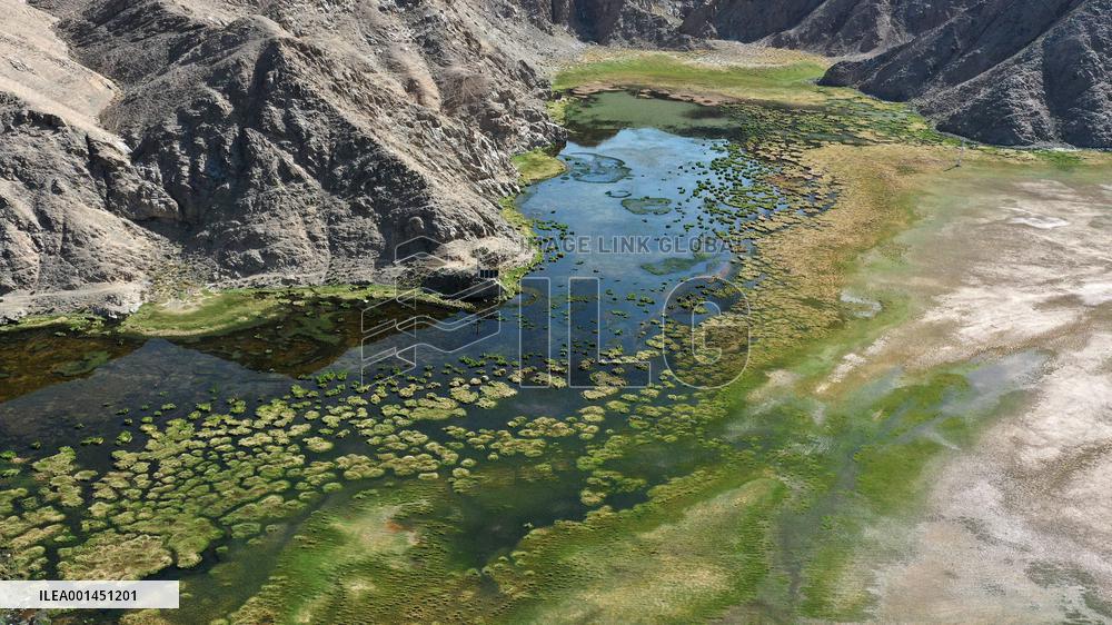 CHINA-GANSU-YANCHIWAN WETLANDS (CN)