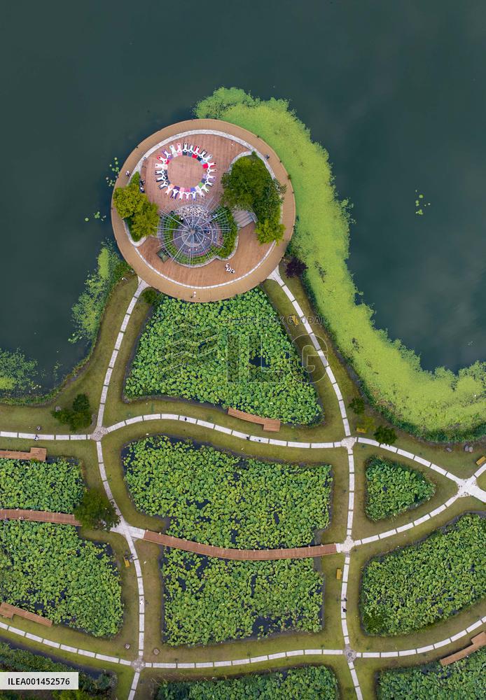 International Day of Yoga