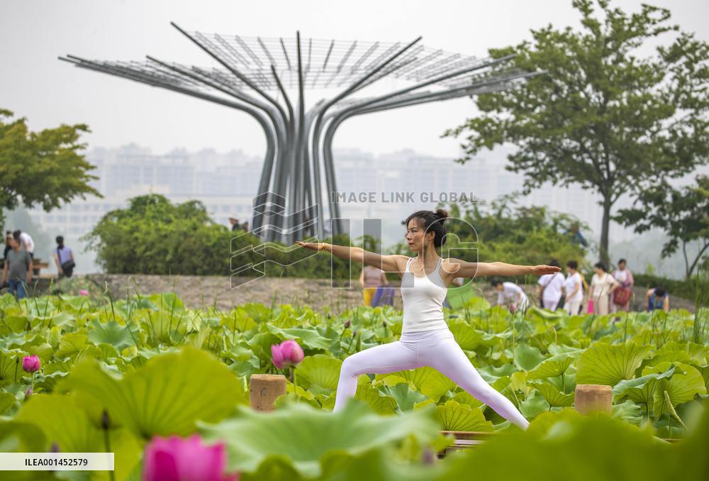 International Day of Yoga